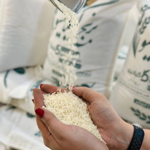 افزایش افسارگسیخته قیمت اقلام ضروری؛ یک دانه برنج ۸۰ هزار تومان
