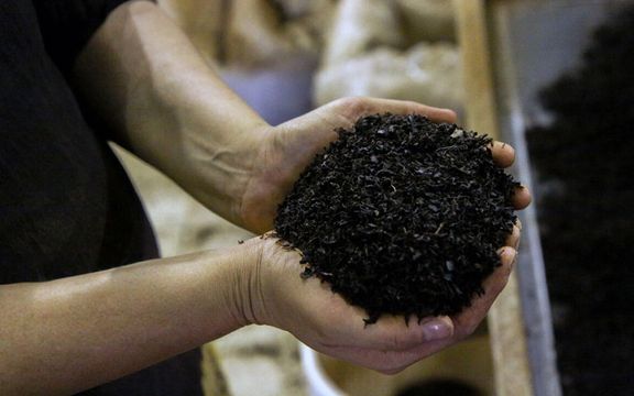 عضو هیات نمایندگان اتاق ایران: چای سنواتی را به دبی صادر و بعد به اسم خارجی وارد کردهاند