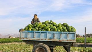 Can Iran's plan for a $7 monthly cash handout calm the streets?