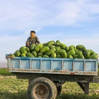 Can Iran's plan for a $7 monthly cash handout calm the streets?