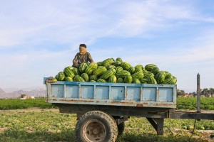 Can Iran's plan for a $7 monthly cash handout calm the streets?