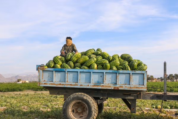 Can Iran's plan for a $7 monthly cash handout calm the streets?