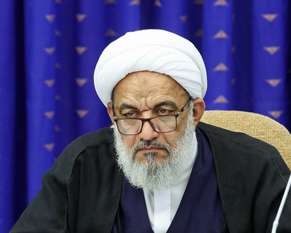 رییس کمیسیون فرهنگی مجلس: فمینیستها فکر میکنند زن موجود ناقصی است