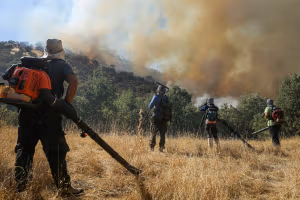 انتقاد گسترده افکار عمومی از ناتوانی و تعلل حکومت در مهار آتشسوزی جنگل الیت