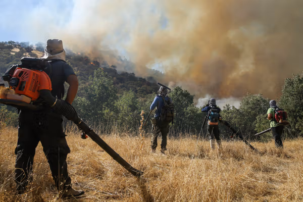 انتقاد گسترده افکار عمومی از ناتوانی و تعلل حکومت در مهار آتشسوزی جنگل الیت