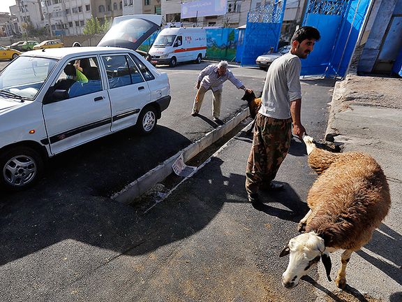 مقام وزارت بهداشت: مردم از ذبح دامهای قربانی در منازل و معابر خودداری کنند