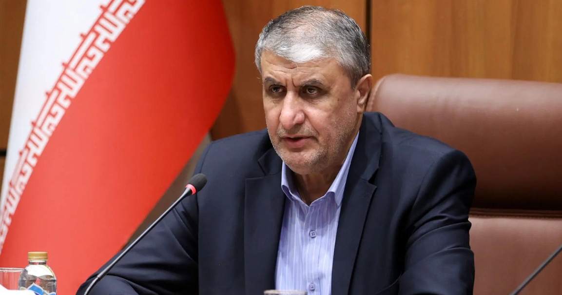 Iran nuclear chief says atomic sector expanding despite sanctions, attacks