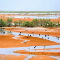 Iran’s central plateau could be depopulated over water crisis, academic warns