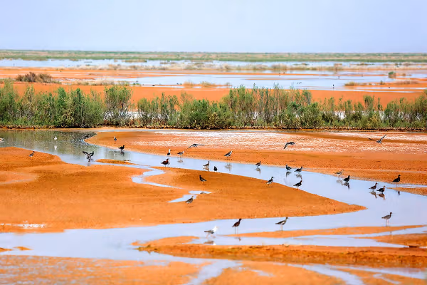 Iran’s central plateau could be depopulated over water crisis, academic warns