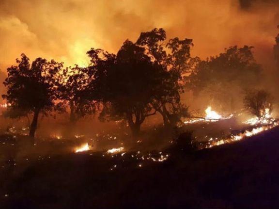 مدیرکل منابع طبیعی:۳۲۲ هکتار از جنگلها و مراتع استان کردستان در سه ماه سوخت