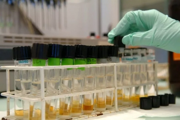 محرومیت ۴ ساله در انتظار یک جودوکار؛ آزمایش دوپینگ ملیپوش جودوی ایران مثبت شد