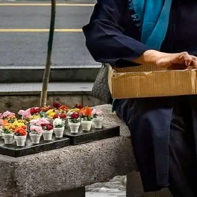 رییس سازمان فنی و حرفهای: نیمی از دانشجویان شغلی مرتبط با رشته خود پیدا نمیکنند