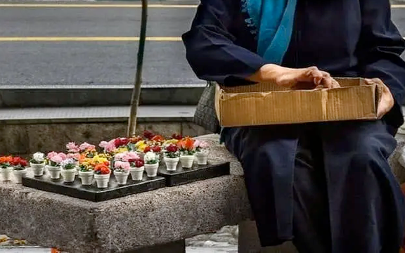 رییس سازمان فنی و حرفهای: نیمی از دانشجویان شغلی مرتبط با رشته خود پیدا نمیکنند