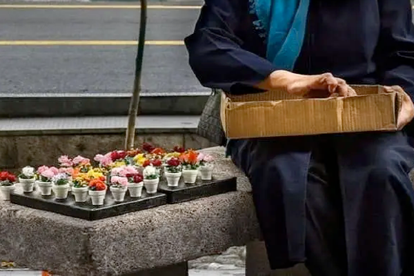 رییس سازمان فنی و حرفهای: نیمی از دانشجویان شغلی مرتبط با رشته خود پیدا نمیکنند