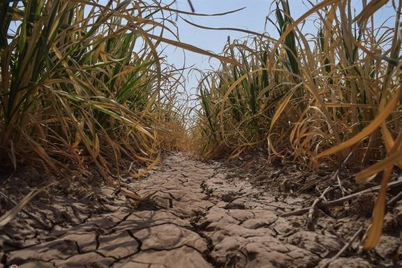 A drought-hit lot of land in southern Iran