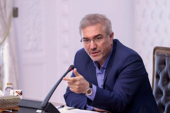 The head of the Organization for Planning and Budget, Davoud Manzour