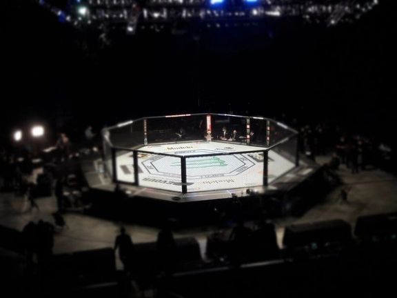 پلیس غرب تهران از بازداشت برگزار کنندگان مبارزات زیرزمینی داخل قفس در ملارد خبر داد